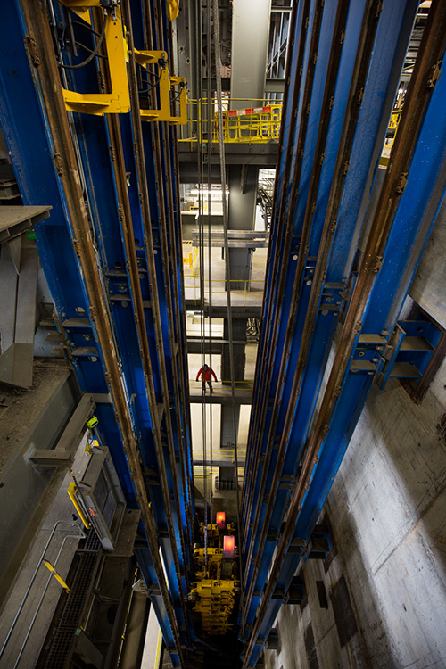 jumbo bloom vertical caster cars