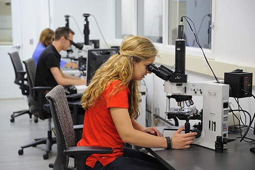 technical support and testing at TimkenSteel